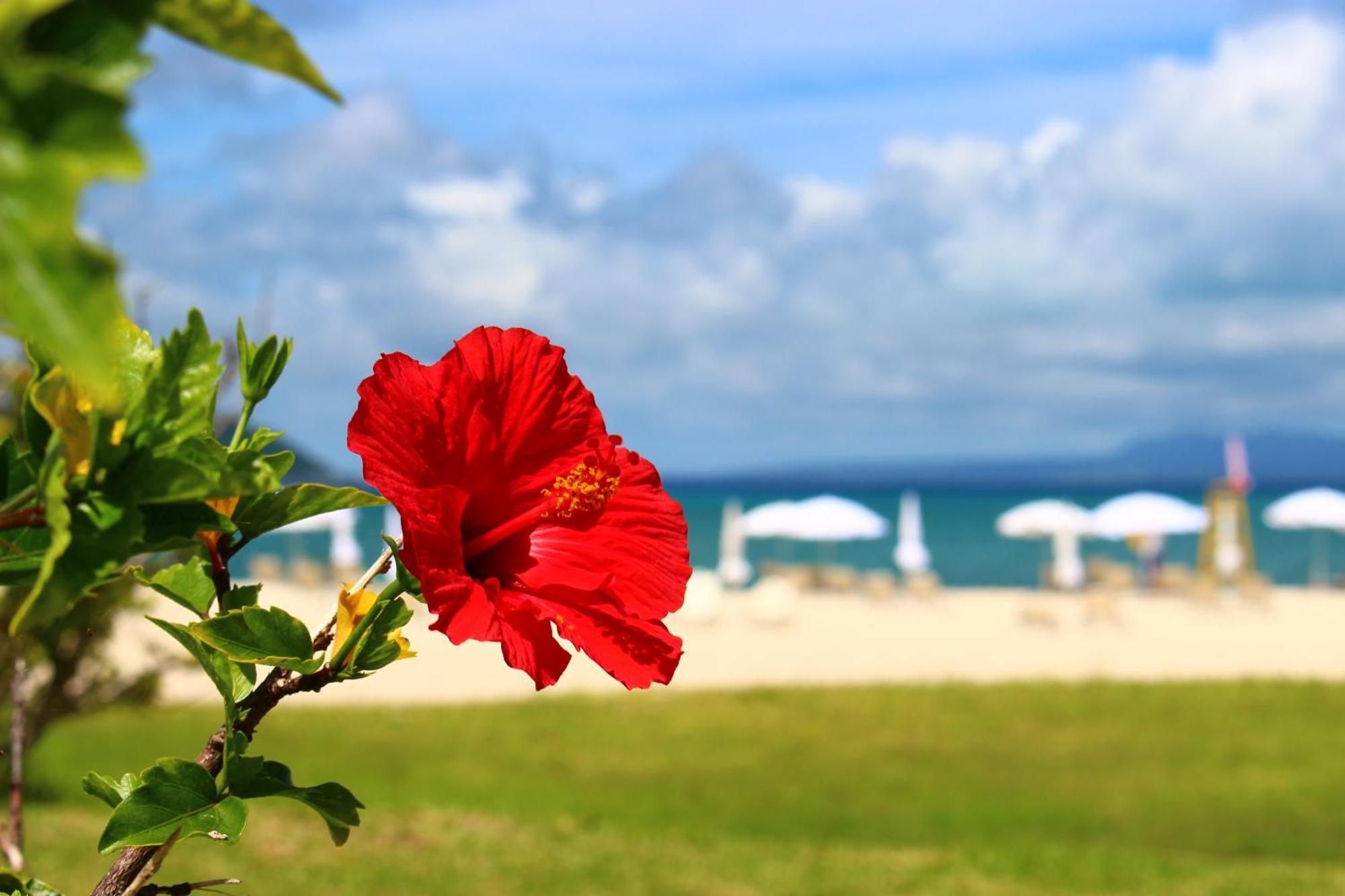 Okuma Private Beach & Resort Kunigami Екстер'єр фото